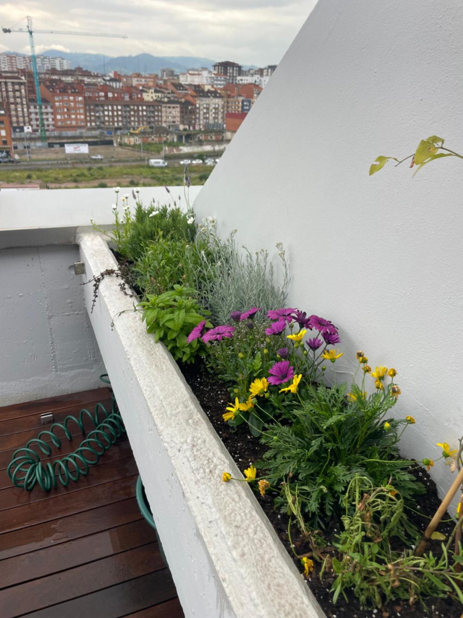 El Atico De La Playa Parking Gratis Gijón